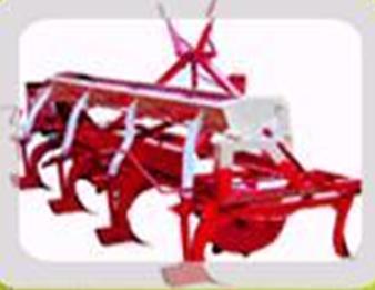 B.T. Cotton Seed Drill